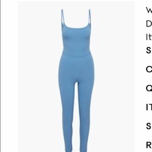 Aritzia divinity jumpsuit